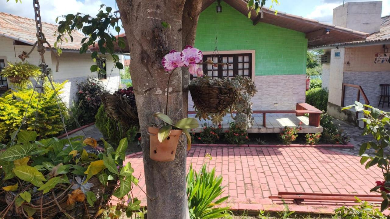 Maison Delfino Flat Gravatá Dış mekan fotoğraf