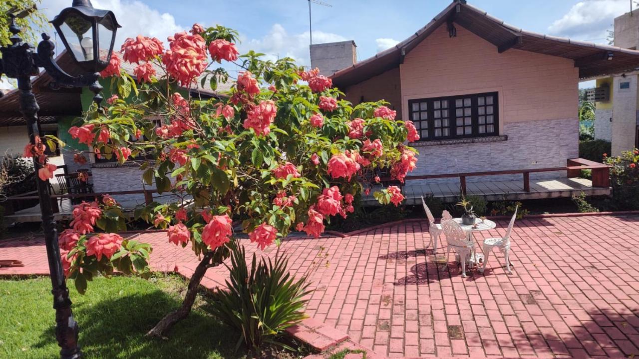 Maison Delfino Flat Gravatá Dış mekan fotoğraf